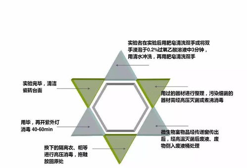 實業(yè)運(yùn)營與建設(shè) 現(xiàn)代經(jīng)濟(jì)發(fā)展的核心驅(qū)動力