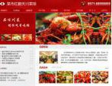 公司網(wǎng)站設(shè)計與視覺呈現(xiàn) 圖片在網(wǎng)頁設(shè)計中的核心作用與策略